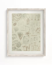 Pharmacy Museum Print Cognitive Surplus