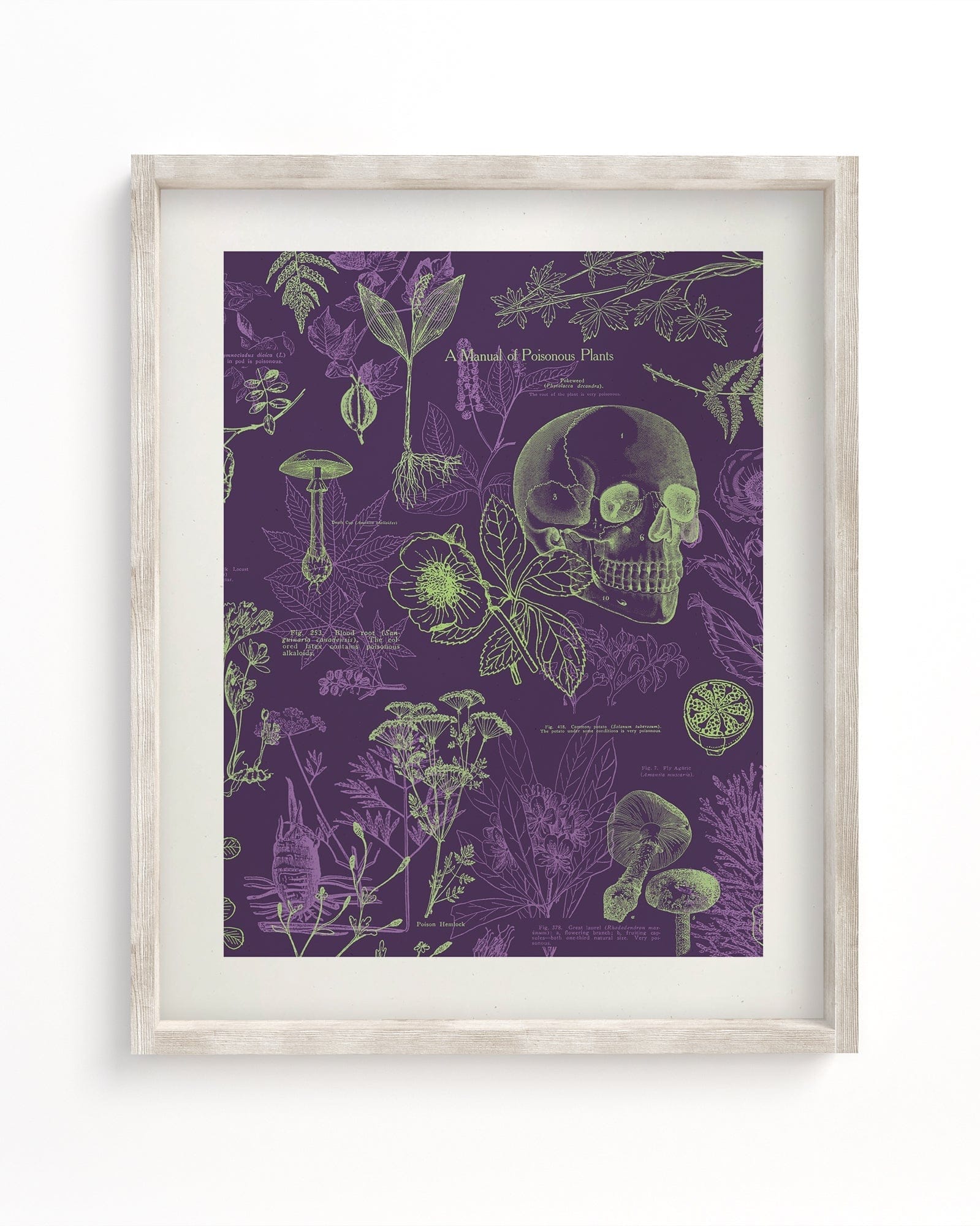 Poisonous Plants Museum Print Cognitive Surplus