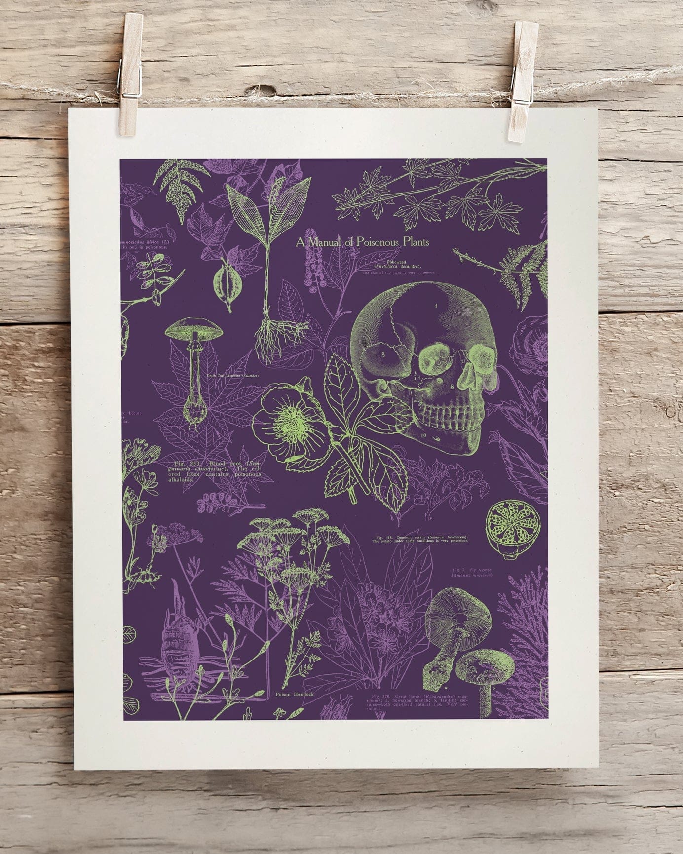 Poisonous Plants Museum Print Cognitive Surplus