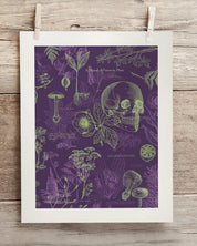 Poisonous Plants Museum Print Cognitive Surplus