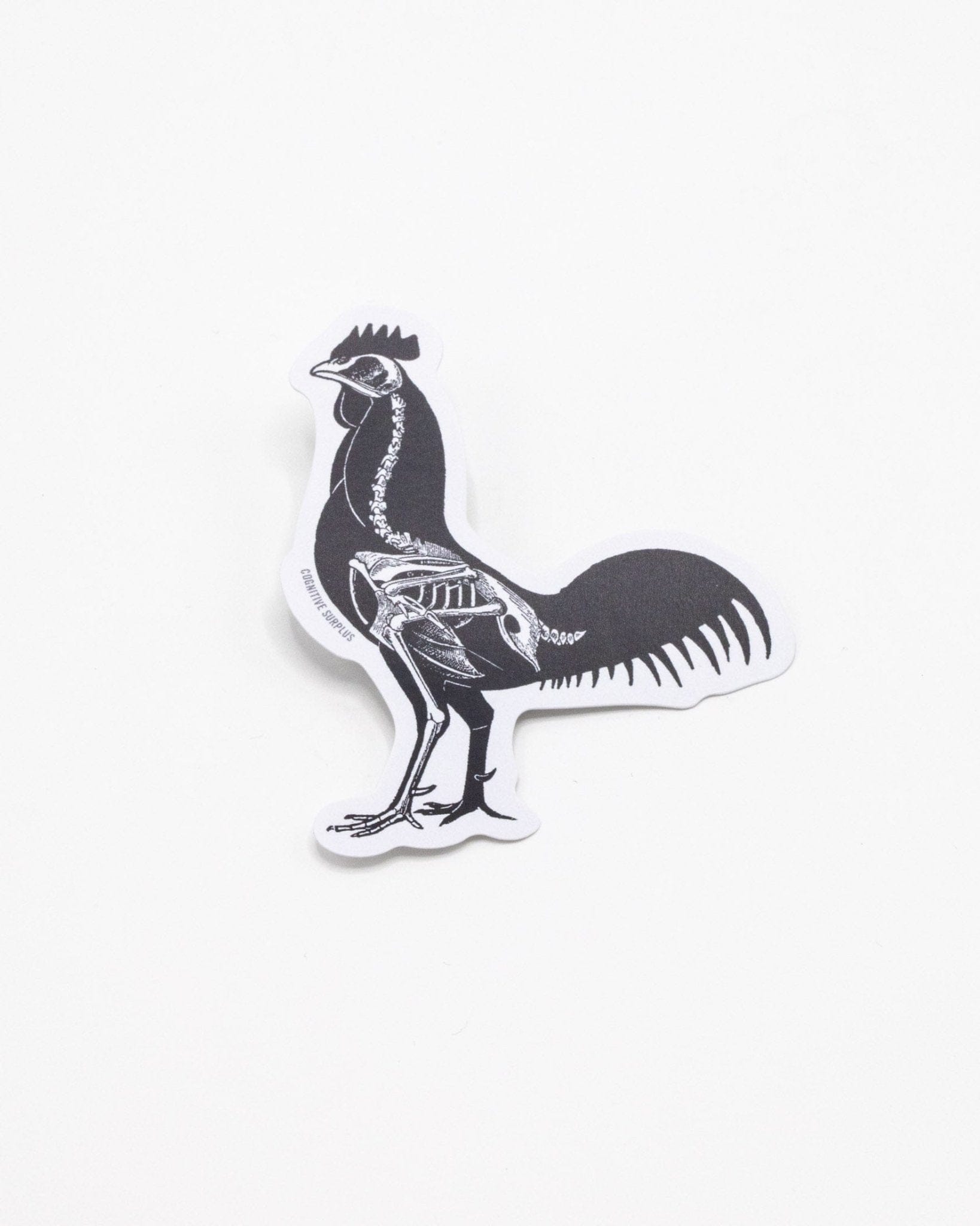 Rooster X-Ray Sticker Cognitive Surplus