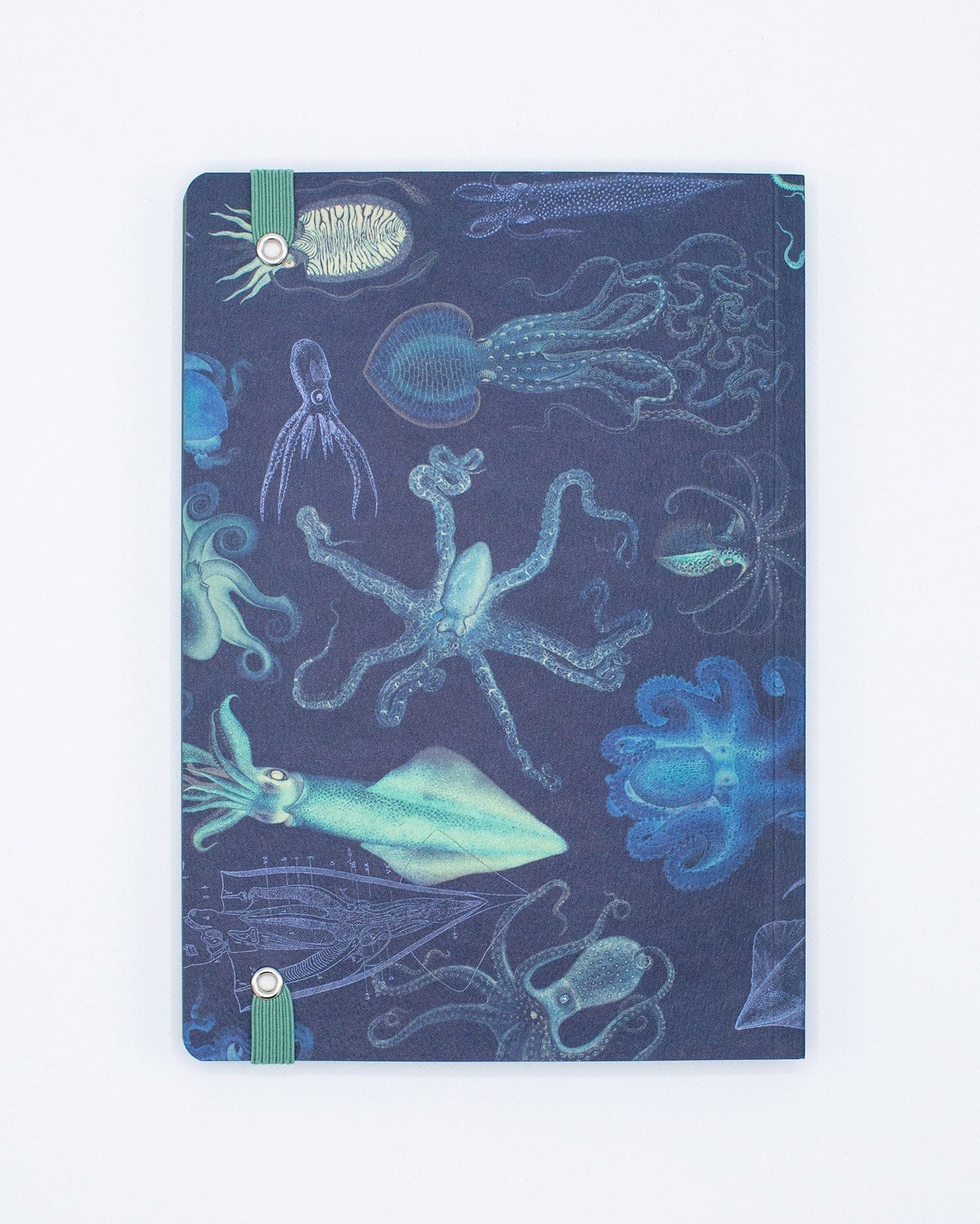 Sea Monsters: Octopus & Squid A5 Softcover Cognitive Surplus