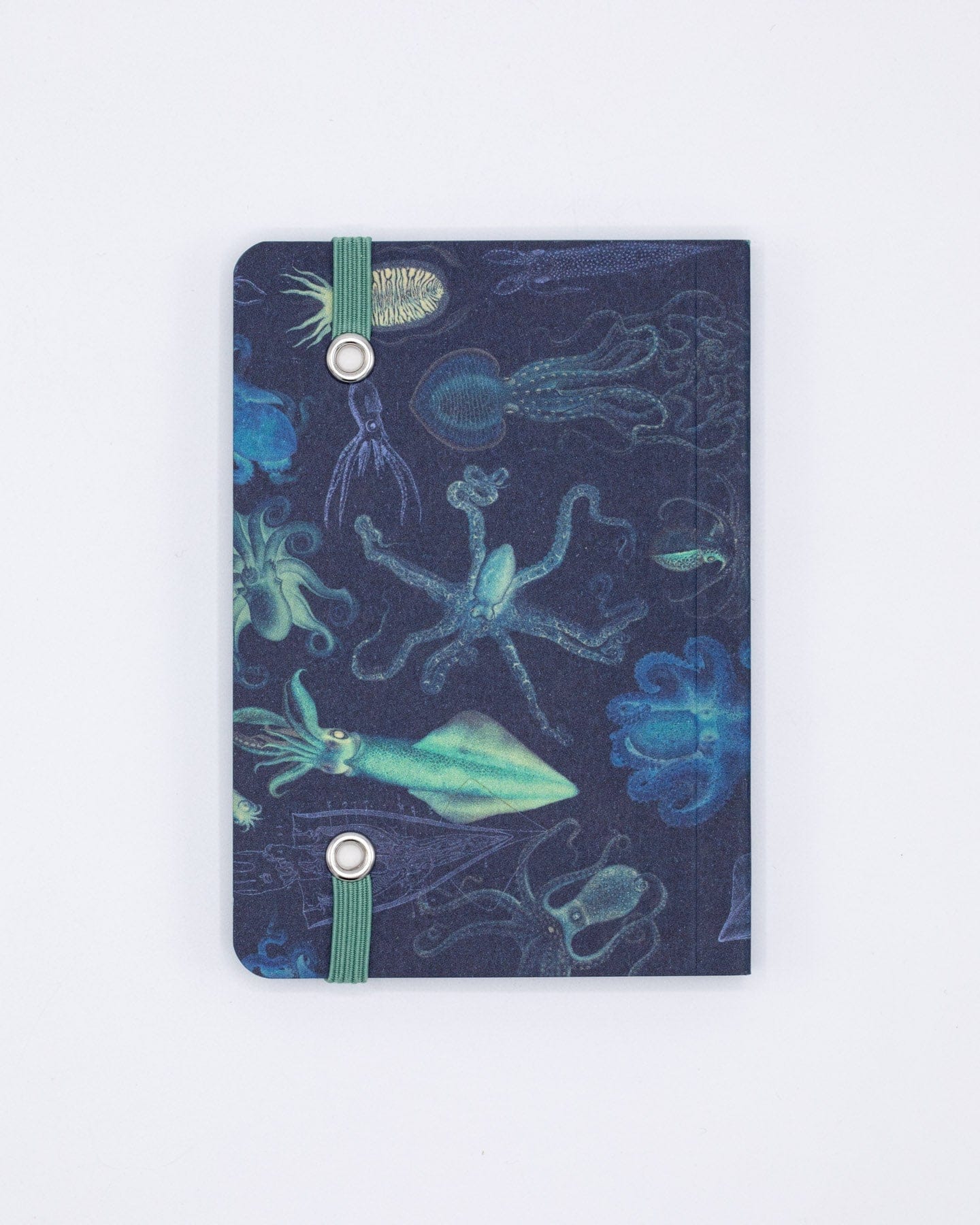 Sea Monsters: Octopus & Squid Observation Softcover Cognitive Surplus