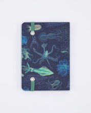 Sea Monsters: Octopus & Squid Observation Softcover Cognitive Surplus