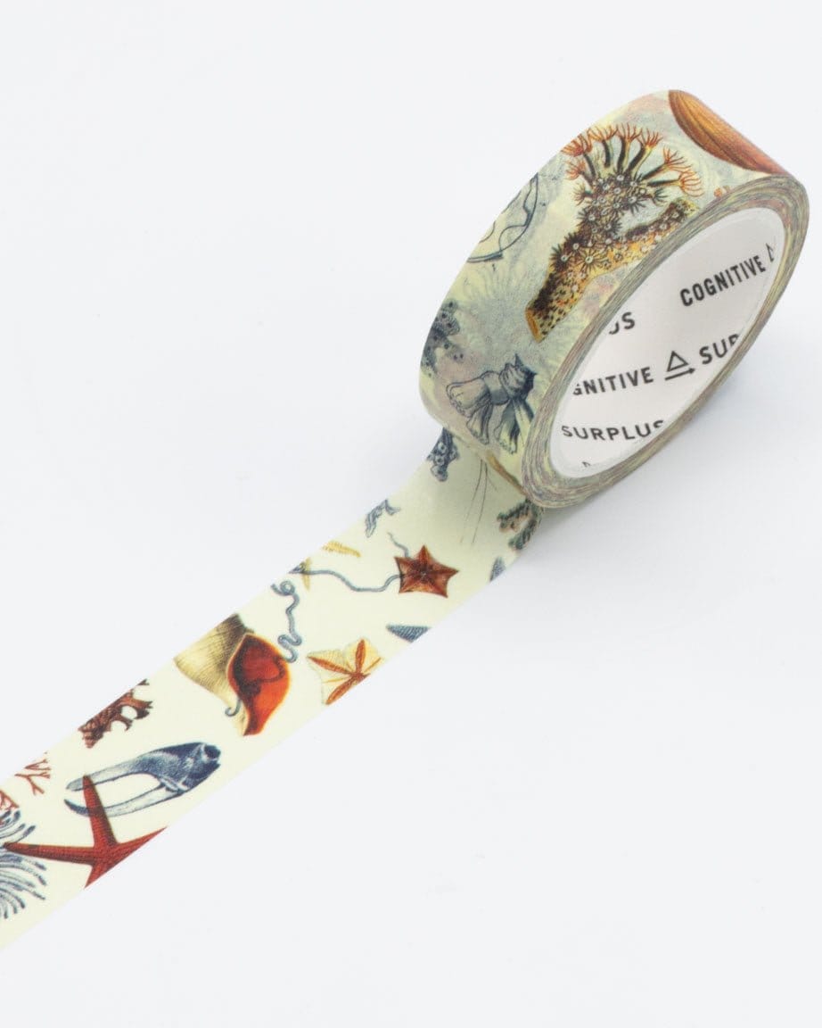 Sea Shore Washi Tape Cognitive Surplus