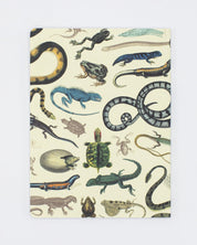 Serpents: Reptiles & Amphibians Softcover - Dot Grid Cognitive Surplus