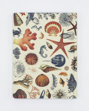 Shallow Seas Pl 2 Hardcover - Dot Grid Cognitive Surplus