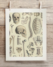 Skeleton Museum Print Cognitive Surplus