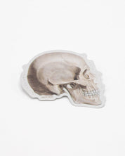 Skull Profile Sticker Cognitive Surplus