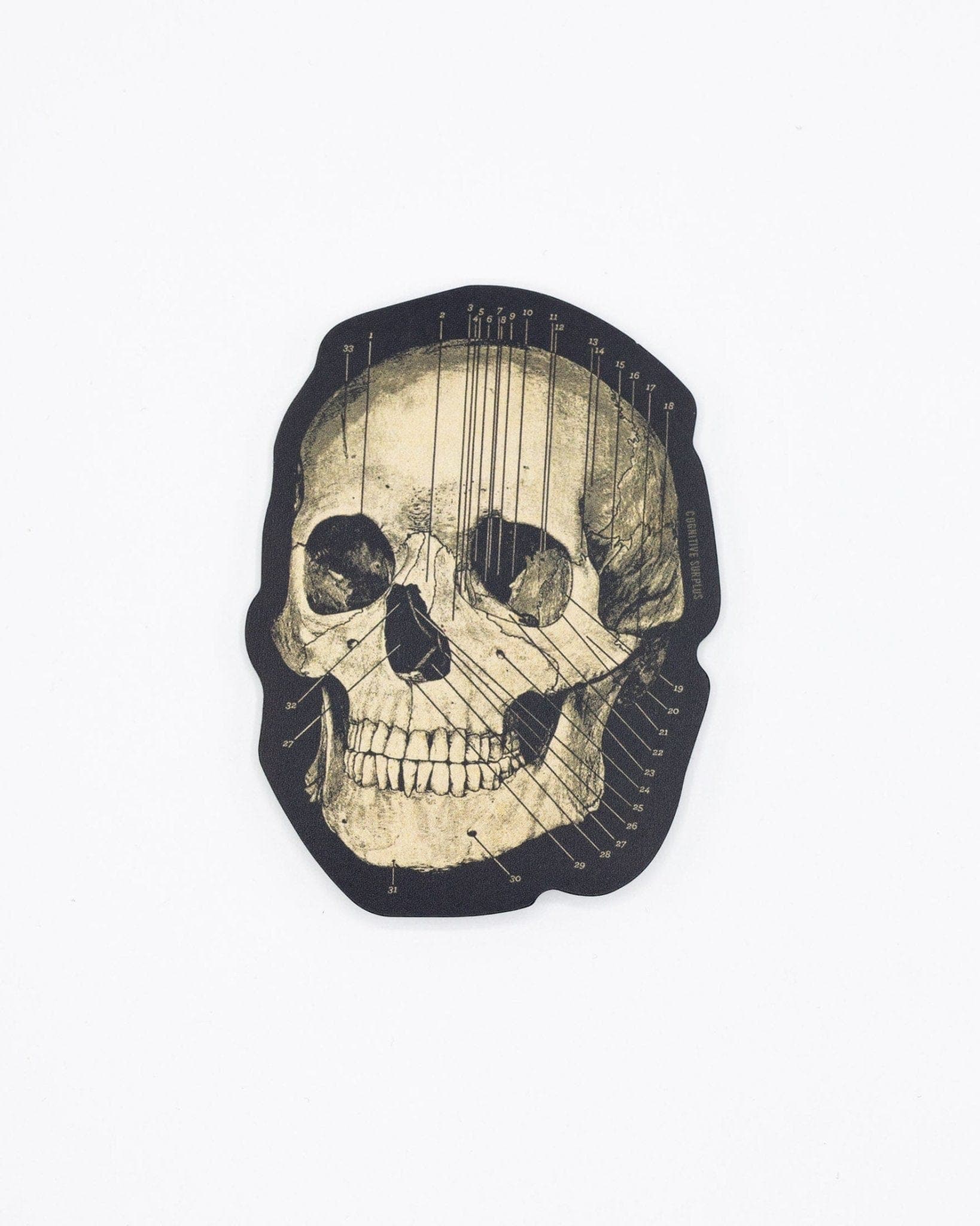 Skull Sticker Cognitive Surplus