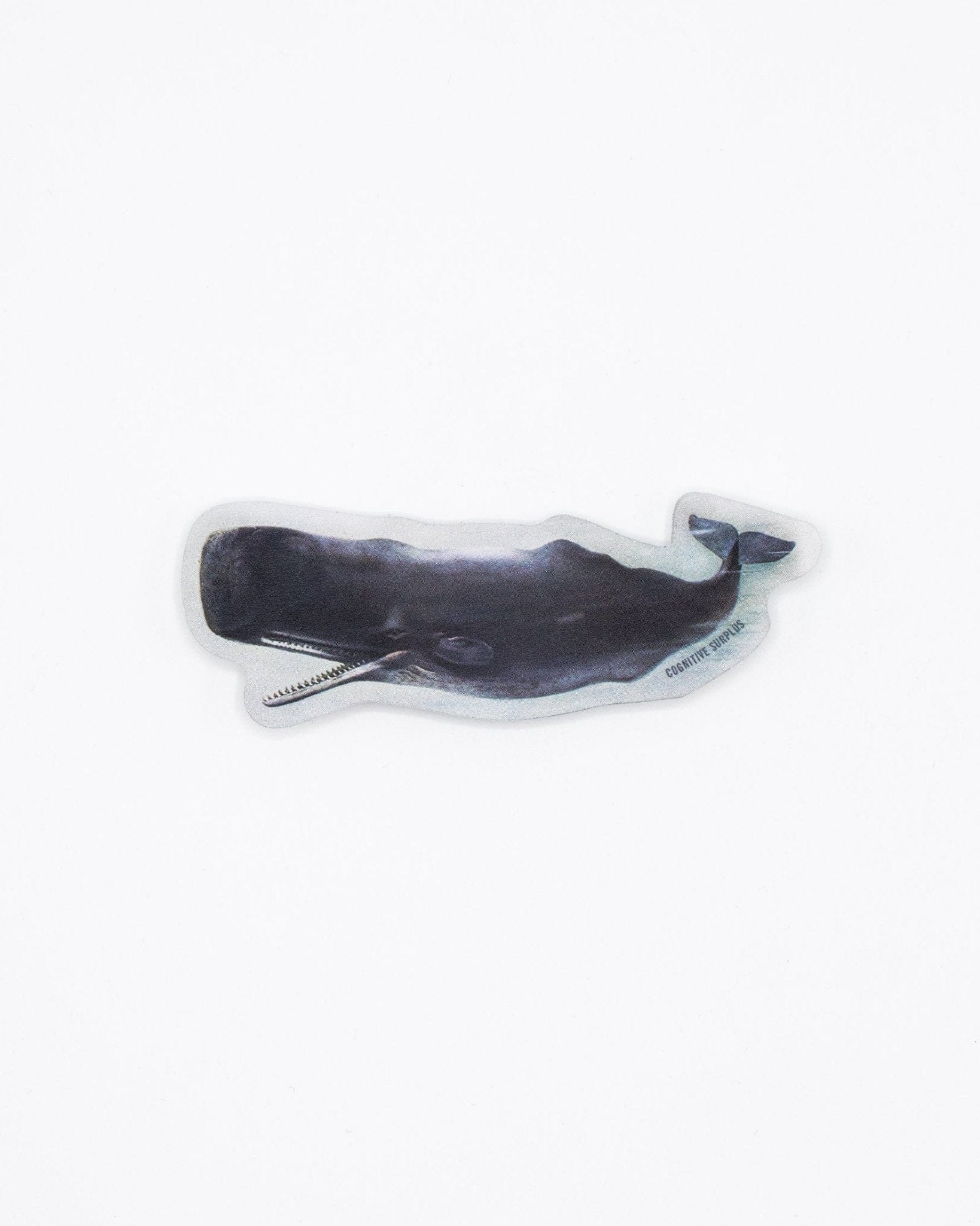 Sperm Whale Sticker Cognitive Surplus