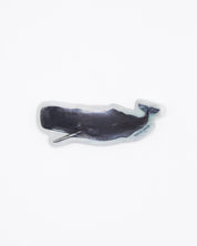 Sperm Whale Sticker Cognitive Surplus