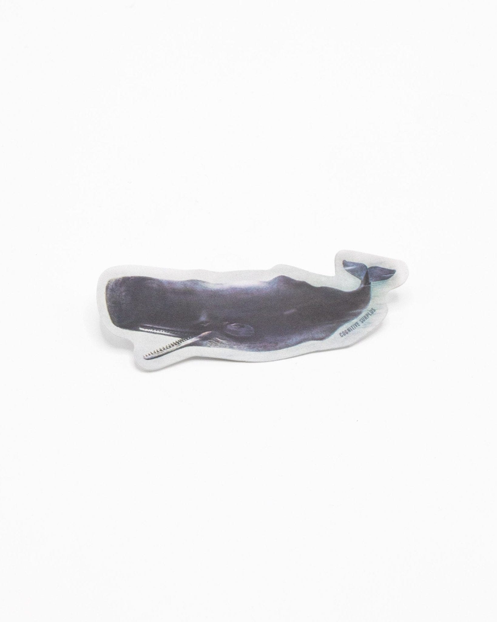 Sperm Whale Sticker Cognitive Surplus