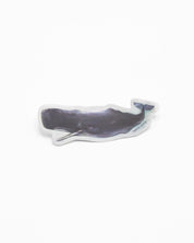 Sperm Whale Sticker Cognitive Surplus
