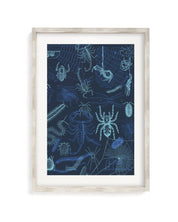 Spiders Museum Print Cognitive Surplus