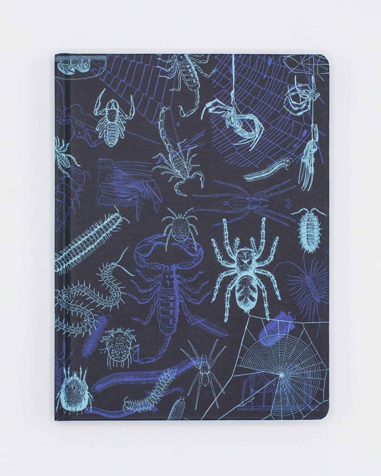 Spiders & Scorpions Hardcover - Lined/Grid Cognitive Surplus