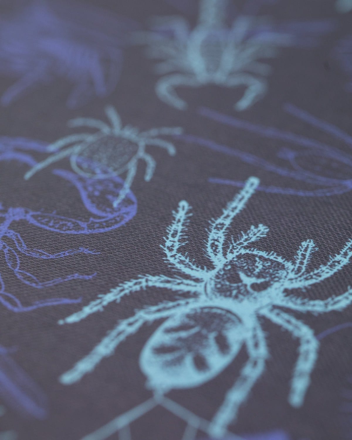 Spiders & Scorpions Hardcover - Lined/Grid Cognitive Surplus