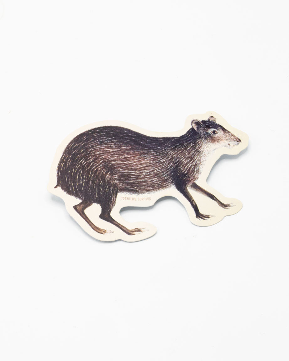A Cognitive Surplus Agouti Sticker on a white background.