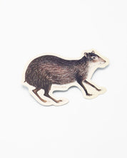 A Cognitive Surplus Agouti Sticker on a white background.