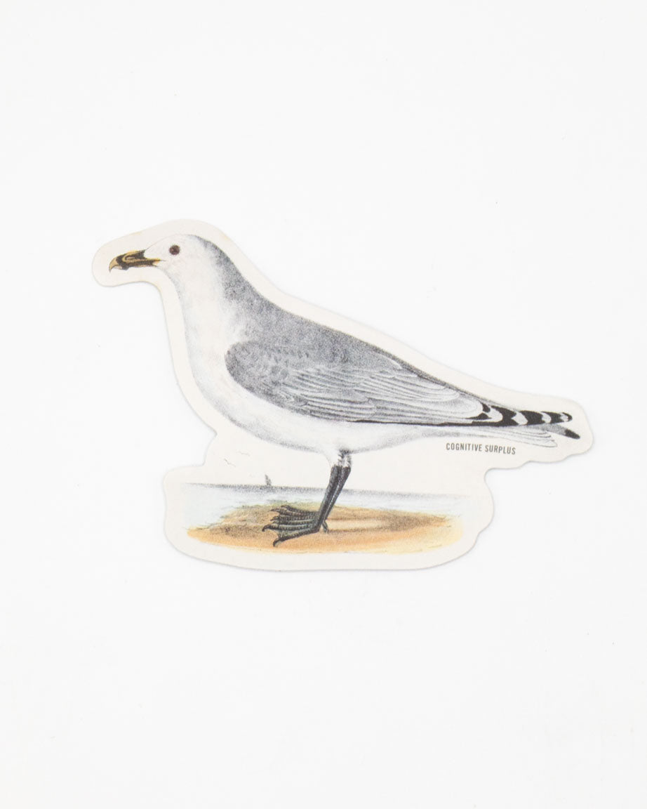A Cognitive Surplus American Gull Sticker.