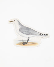 A Cognitive Surplus American Gull Sticker.