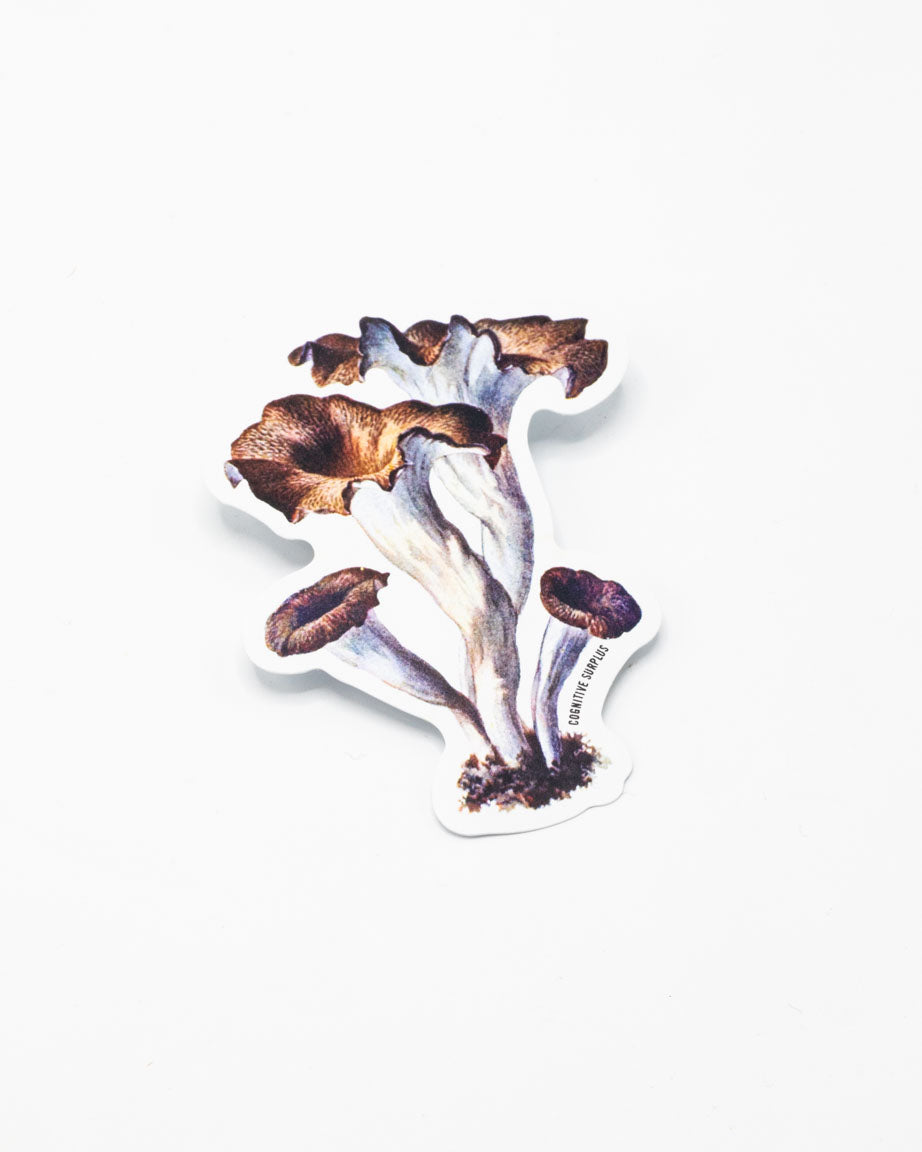 A Craterellus Cornucopioides Mushrooms Sticker by Cognitive Surplus on a white surface.
