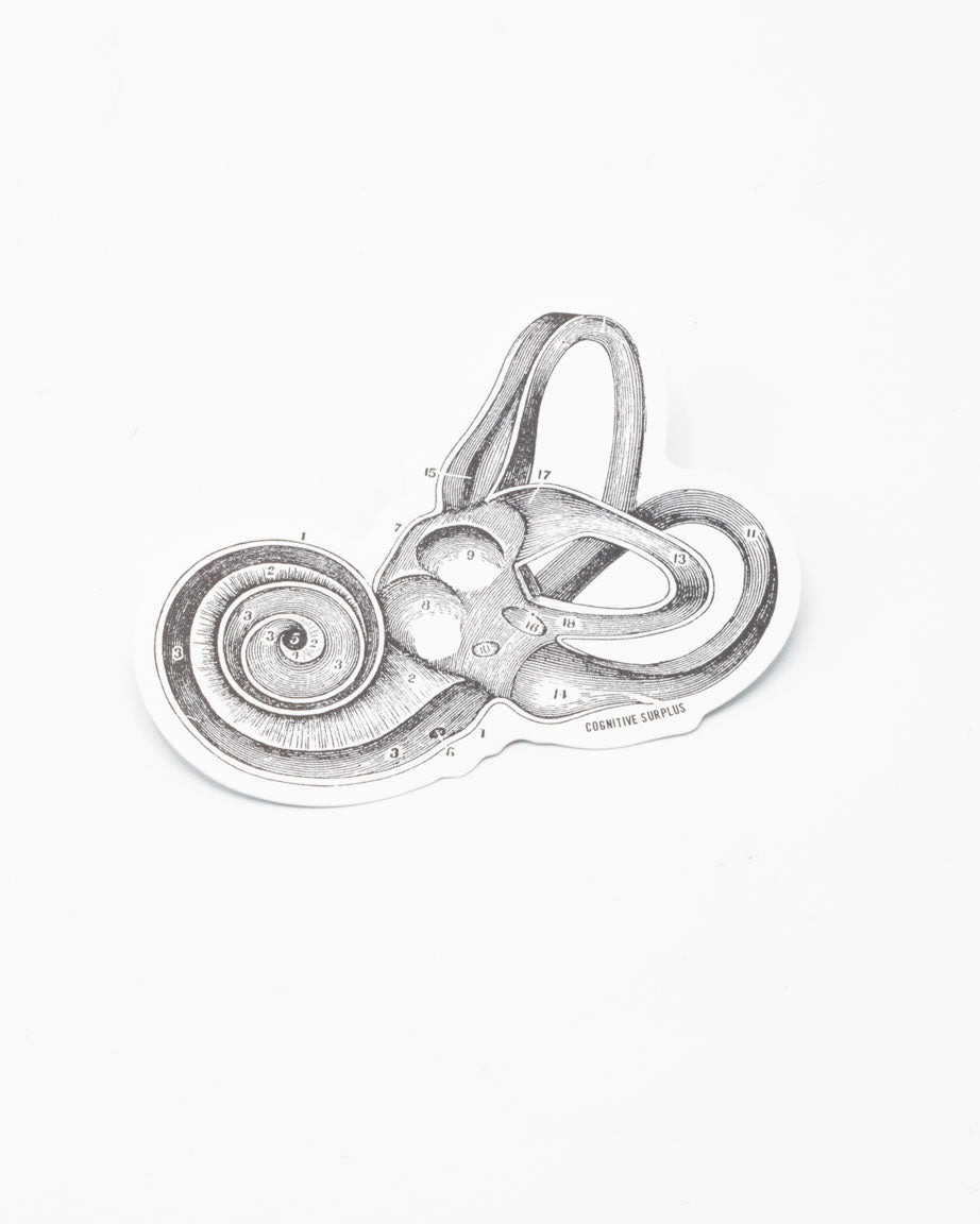 A black and white drawing of a Inner Ear Sticker snake on a white surface by Cognitive Surplus.