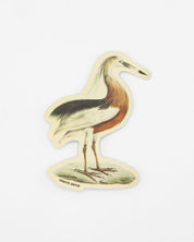 A Javan Pond Heron Sticker made by Cognitive Surplus.