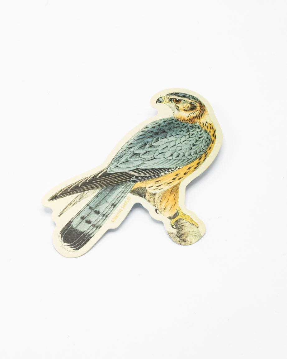 A Cognitive Surplus Merlin Falcon Sticker.