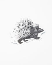 A Cognitive Surplus Porcupine Sticker.