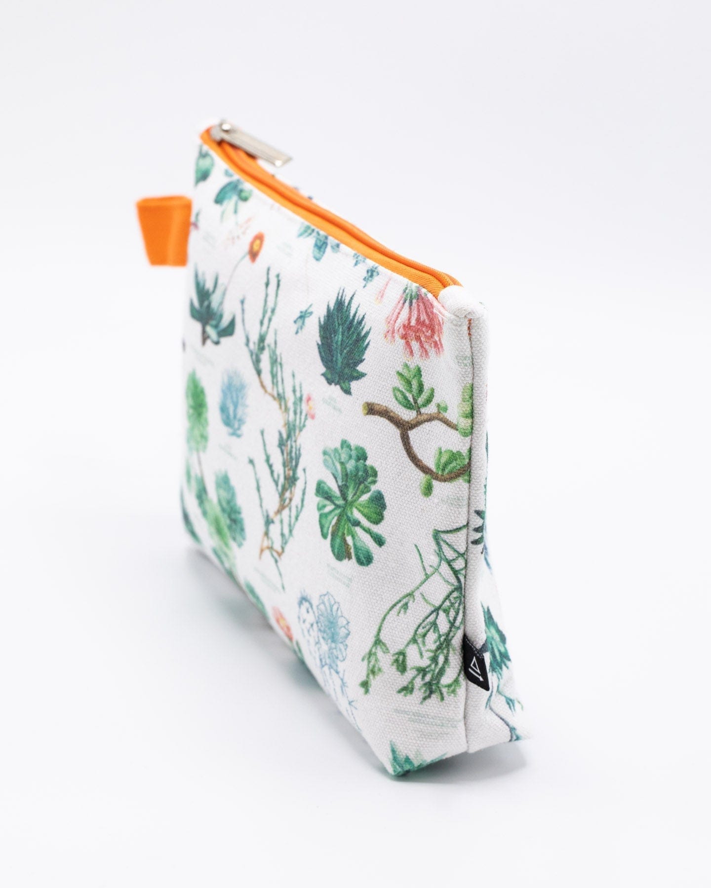 Succulents Pencil Bag Cognitive Surplus