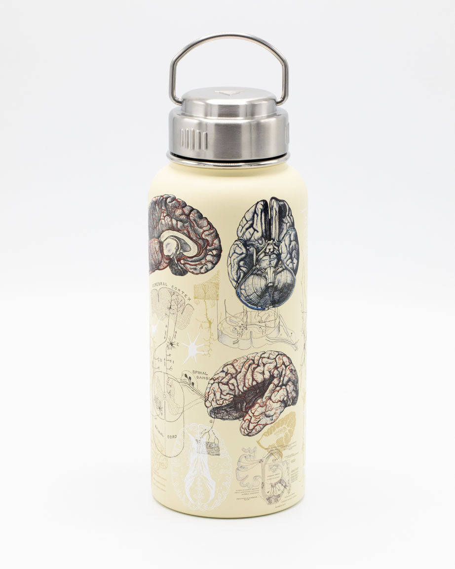 A Cognitive Surplus Brain & Neuroscience 32 oz Steel Bottle with an image of a brain.