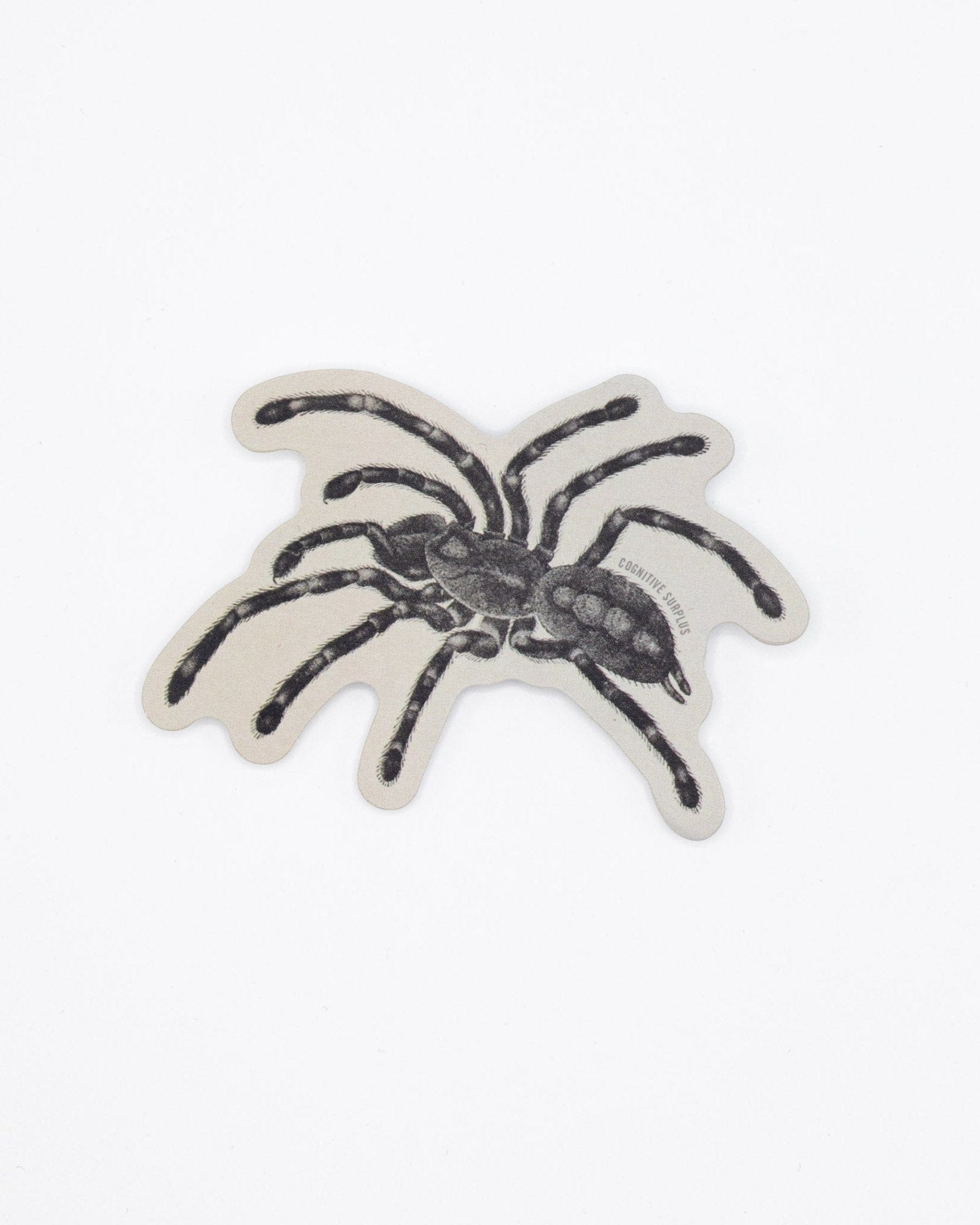 Tarantula Spider Sticker Cognitive Surplus