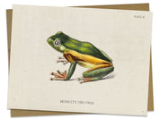 Tree Frog Specimen Card Cognitive Surplus