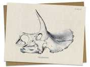 Triceratops Fossil Card Cognitive Surplus