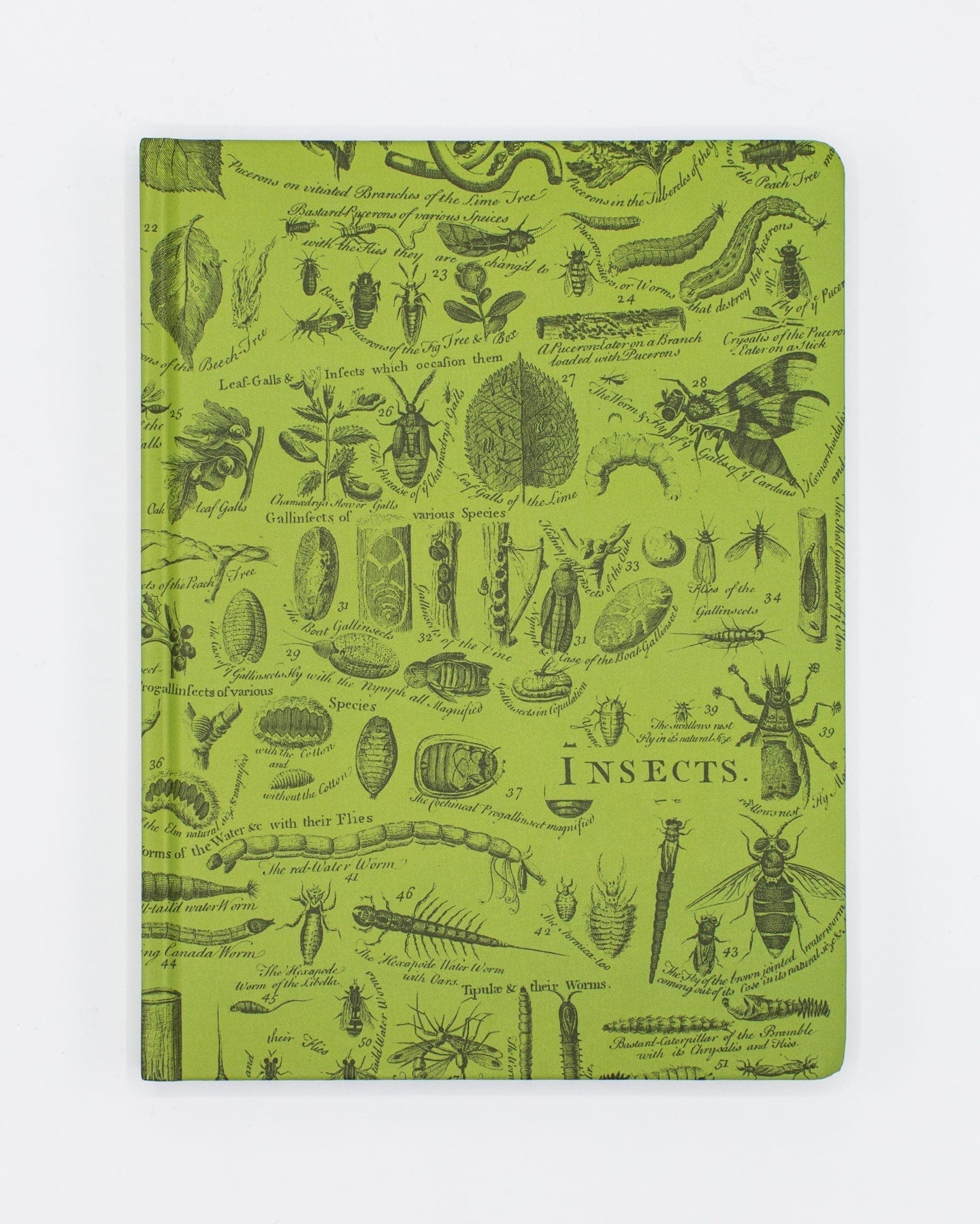 Vintage Insect Hardcover - Dot Grid Cognitive Surplus