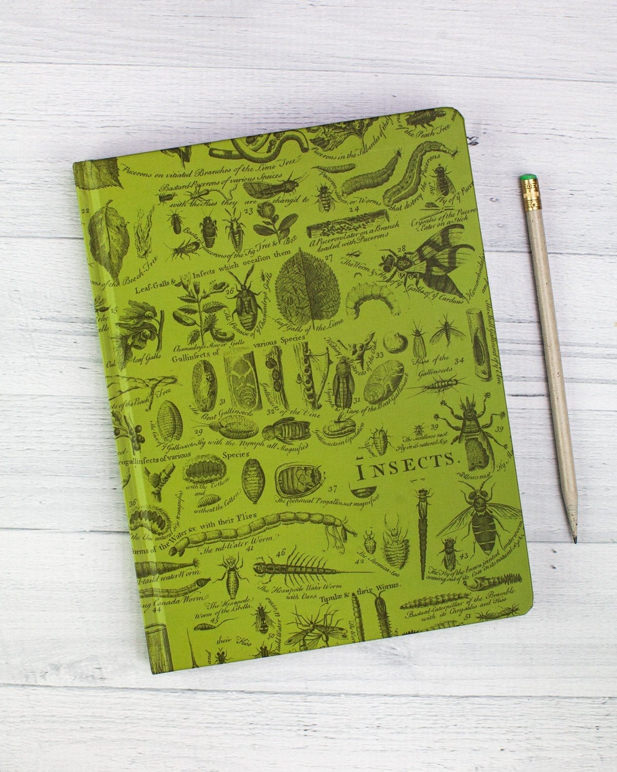 Vintage Insect Hardcover - Dot Grid Cognitive Surplus