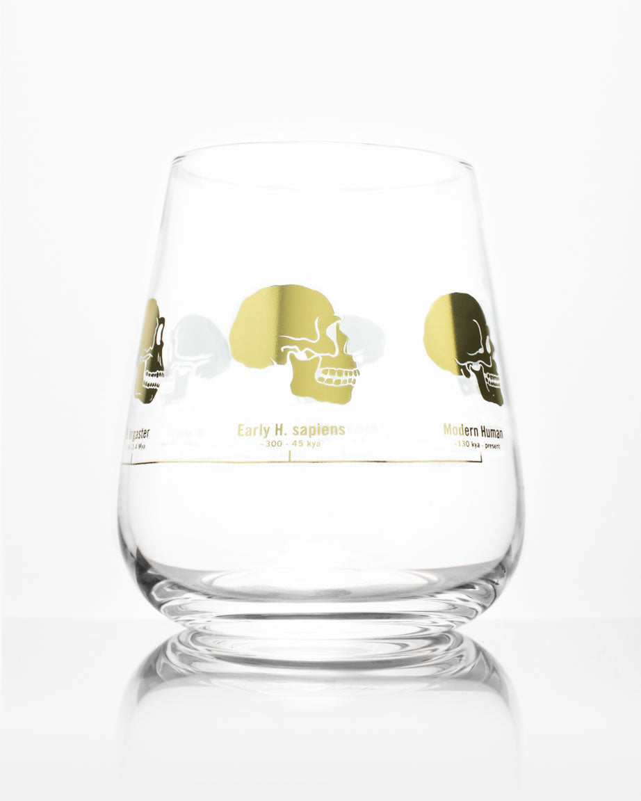 SECONDS: Hominid Skulls Wine Glass