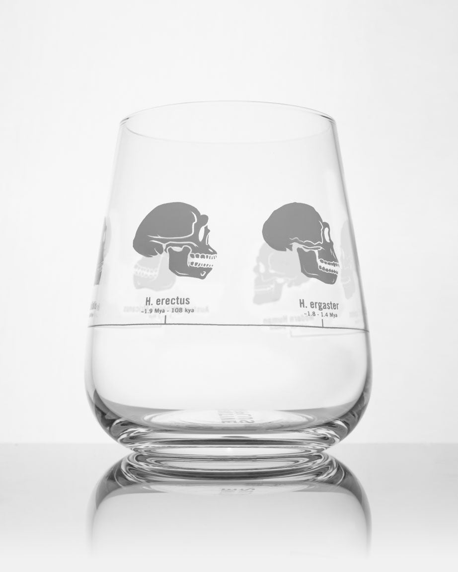 SECONDS: Hominid Skulls Wine Glass