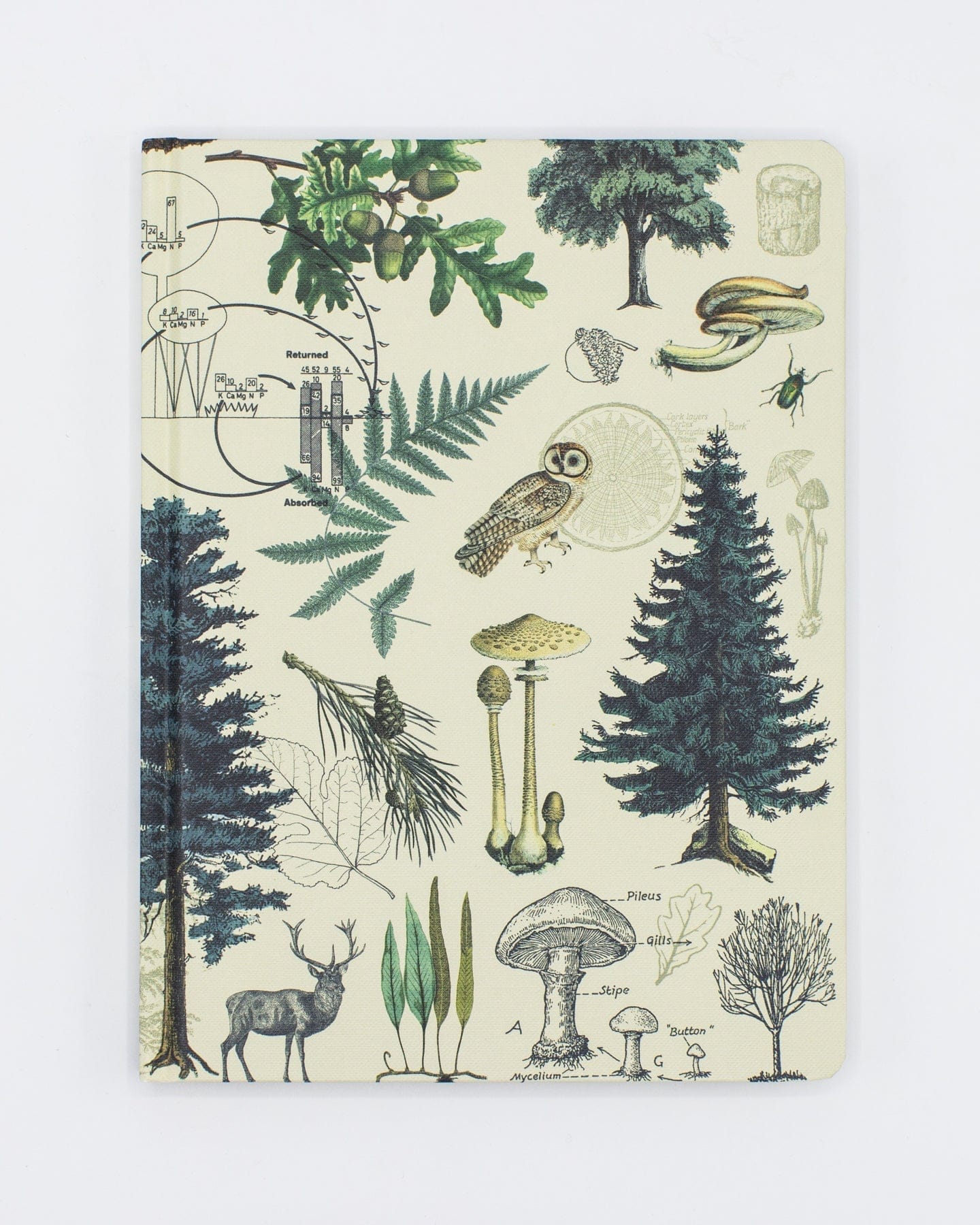 Woodland Forest Hardcover - Dot Grid Cognitive Surplus