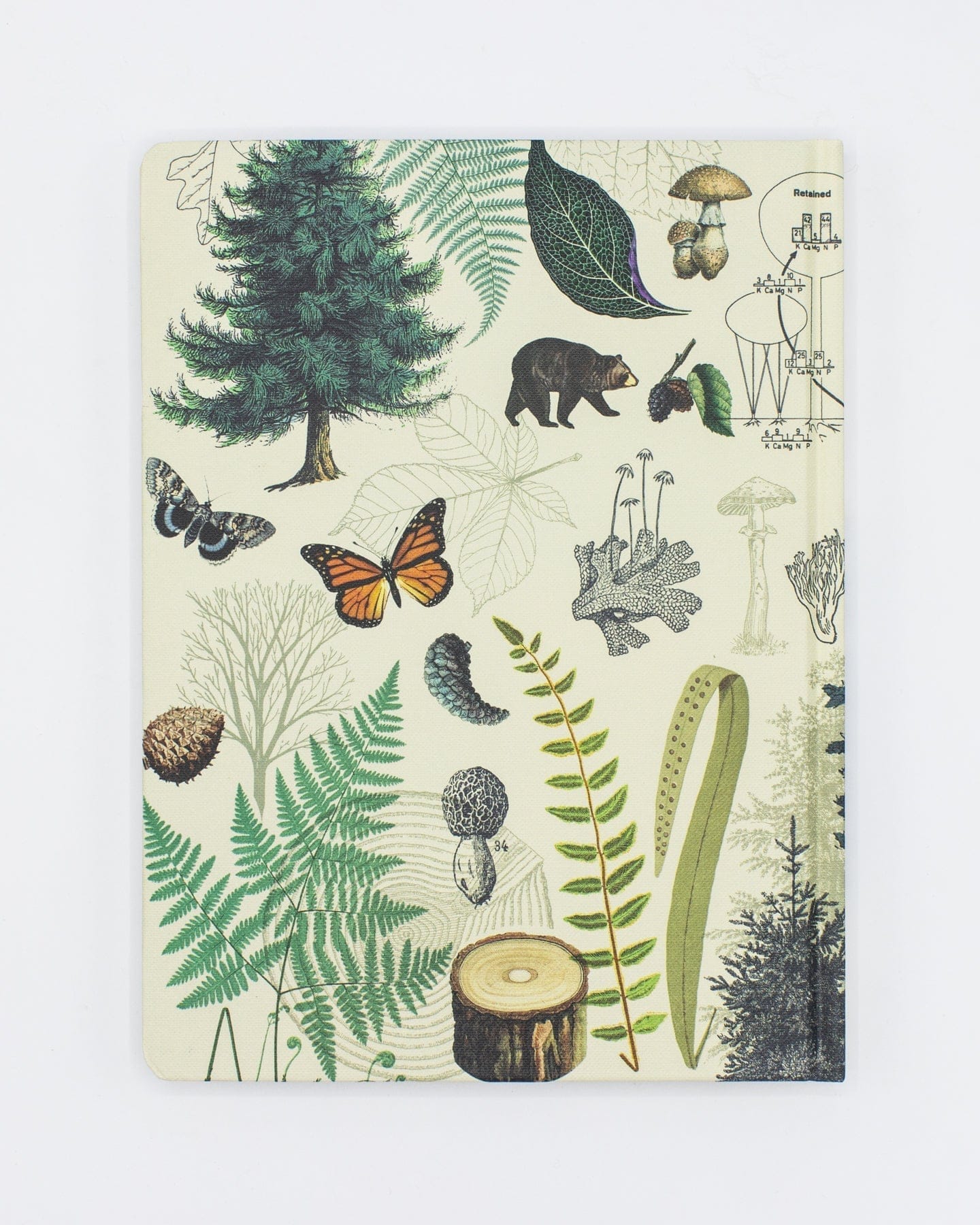 Woodland Forest Hardcover - Dot Grid Cognitive Surplus