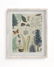 Woodland Forest Plate 2 Museum Print Cognitive Surplus