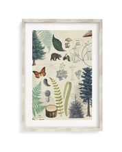 Woodland Forest Plate 2 Museum Print Cognitive Surplus