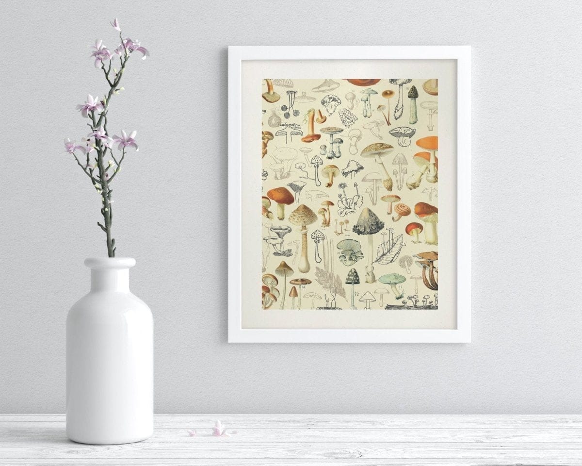 Woodland Mushrooms Museum Print Cognitive Surplus